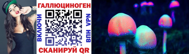 гидра   Оленегорск  Псилоцибиновые грибы Psilocybine cubensis 